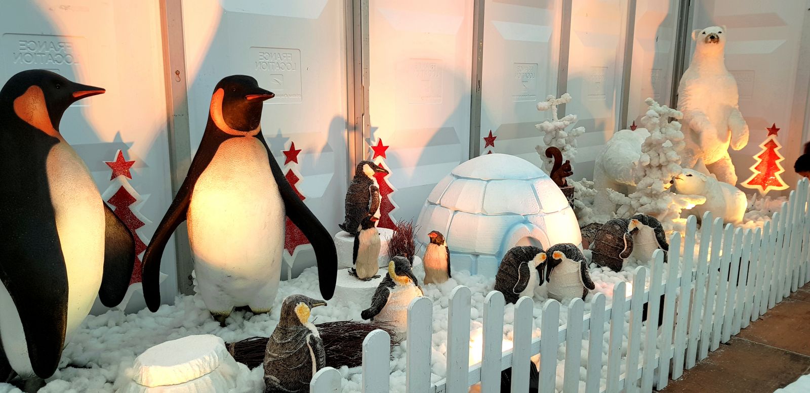 Décoration de Noël pour magasin de Brest et du Finistère